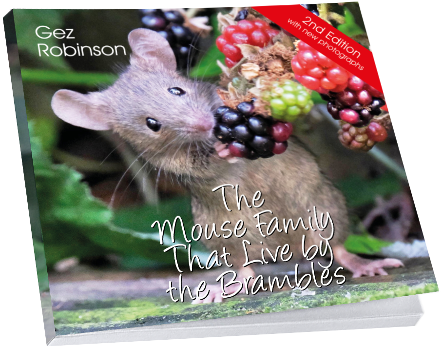 The Mouse Family That Live By The Brambles book